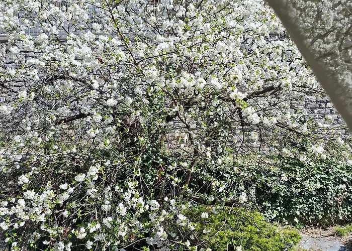 Casa Di Silva Tra Monti E Laghi Perledo Hébergement de vacances Regoledo